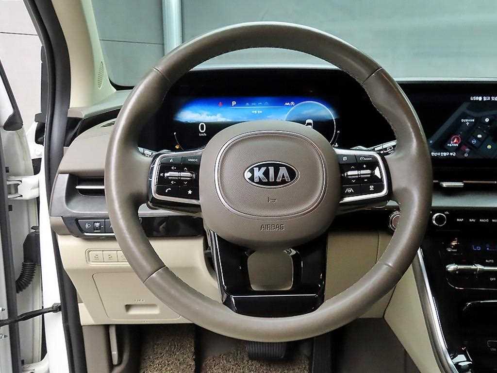 KIA Carnival - Vista 9