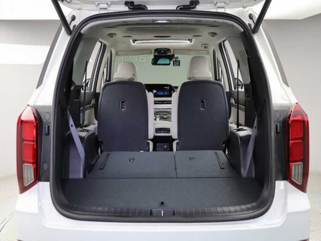 HYUNDAI Palisade - Vista 10