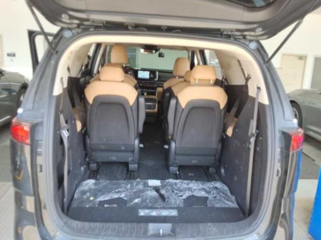 KIA Carnival - Vista 12