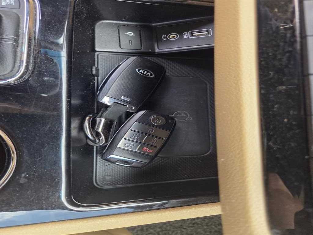 KIA Carnival - Vista 4