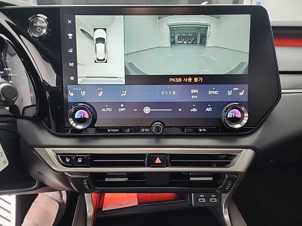 Lexus RX - Vista 10