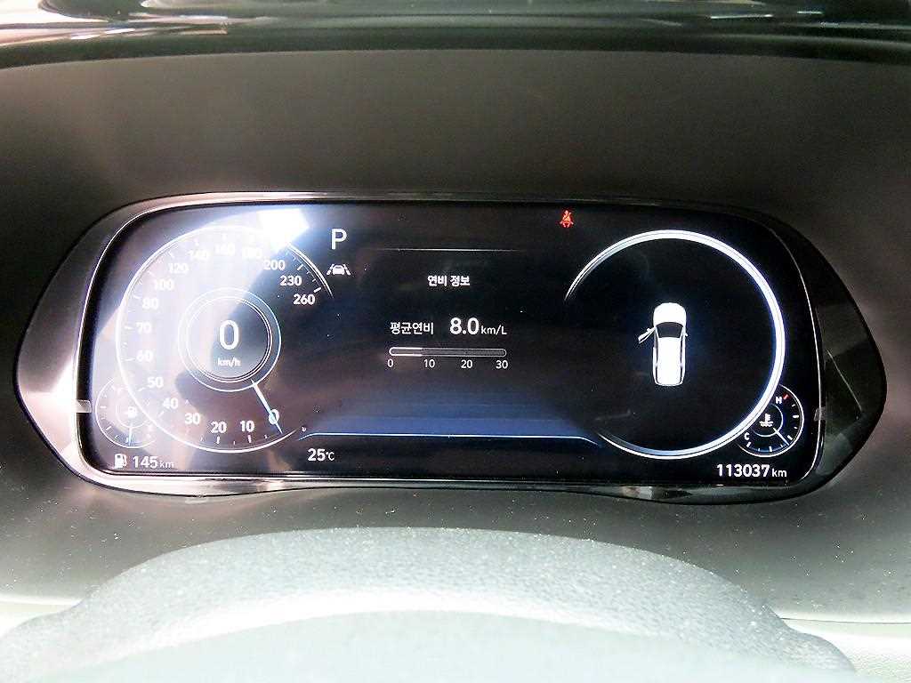 HYUNDAI Palisade - Vista 9