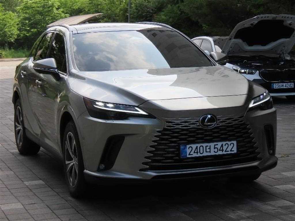 Lexus RX - Vista 2