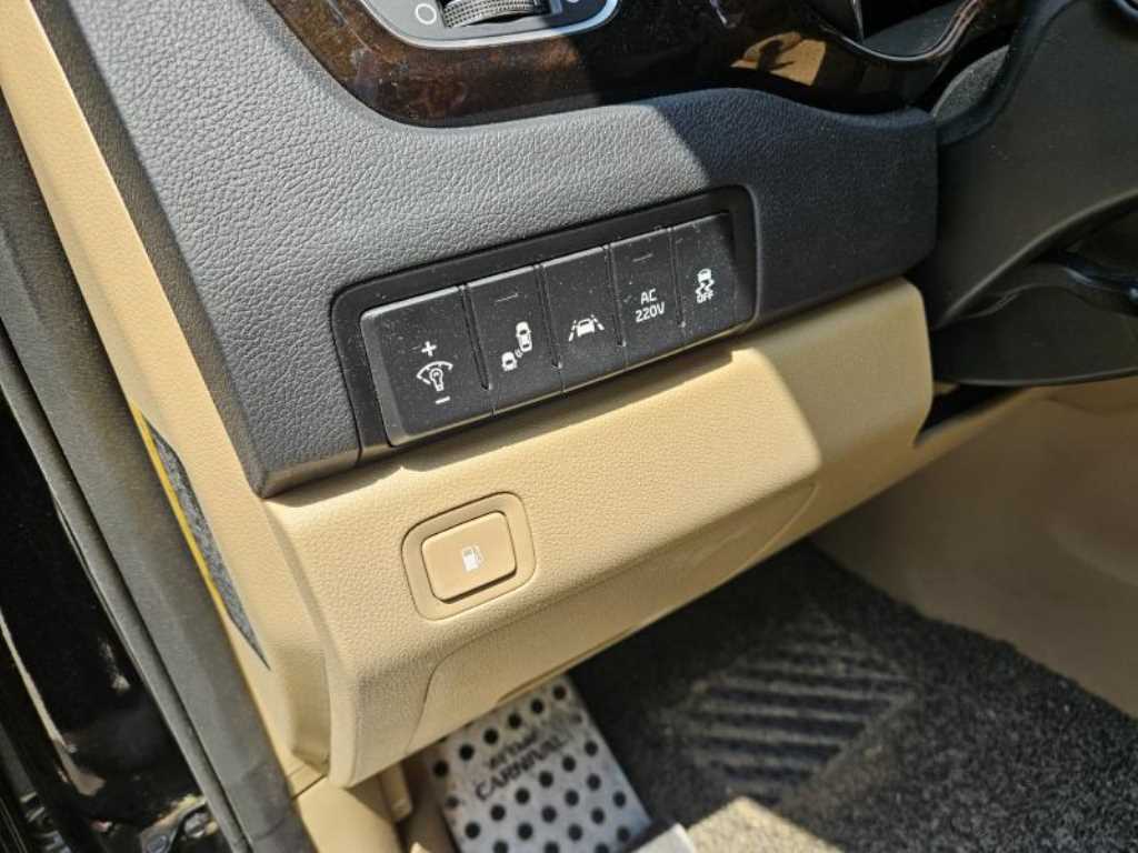 KIA Carnival - Vista 7