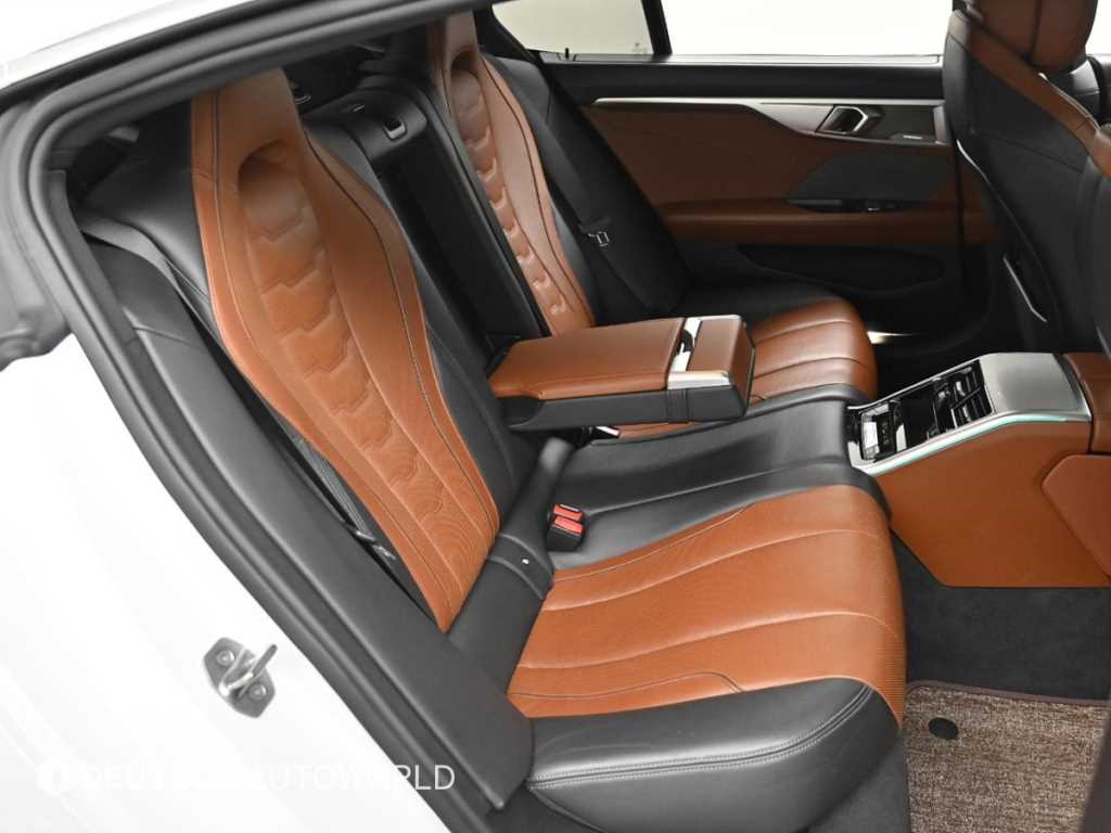 BMW 8 Series - Vista 12