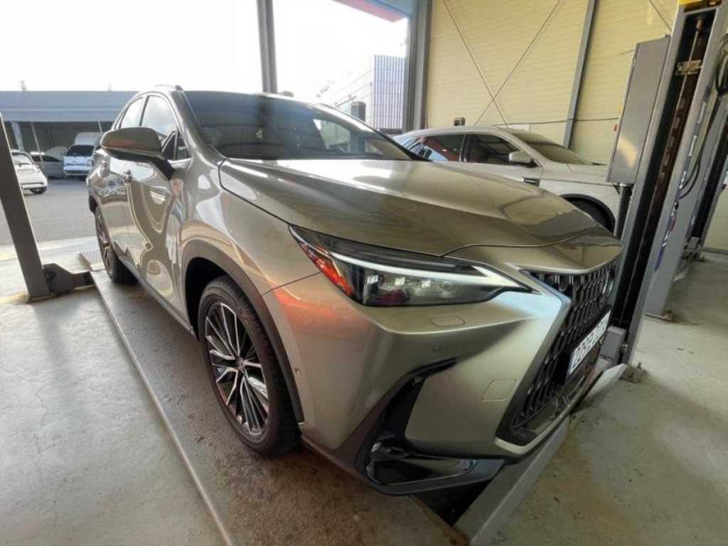 Lexus NX - Vista 5
