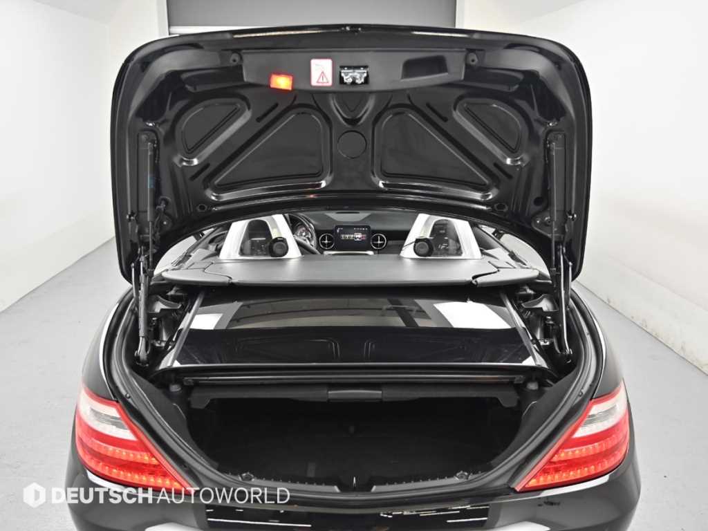 Mercedes Benz SLK Class - Vista 6