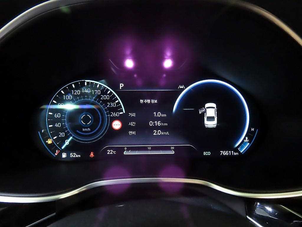 Genesis G80 - Vista 9