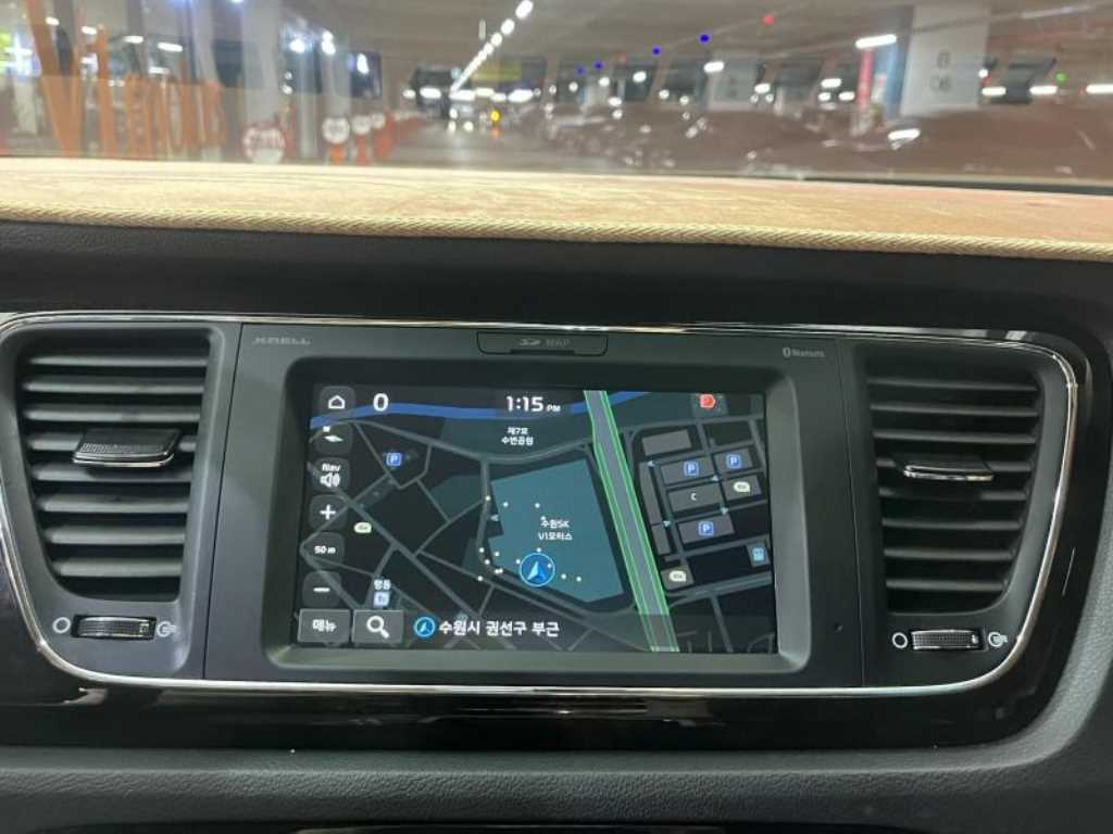 KIA Carnival - Vista 12
