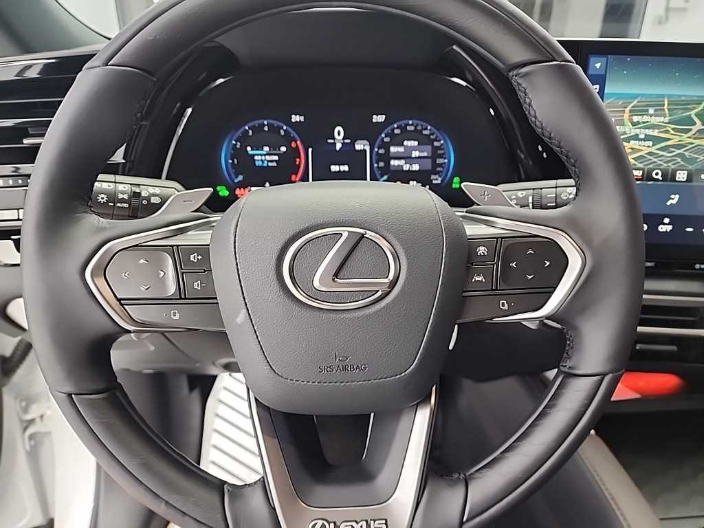 Lexus RX - Vista 9