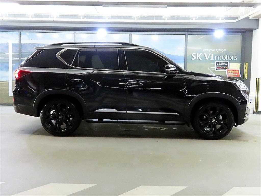Ssangyong Rexton - Vista 3