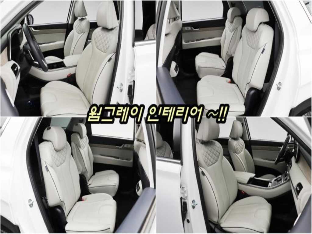 HYUNDAI Palisade - Vista 11