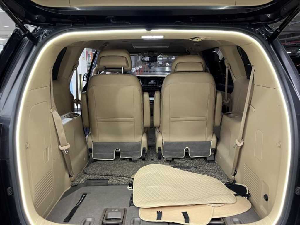 KIA Carnival - Vista 5
