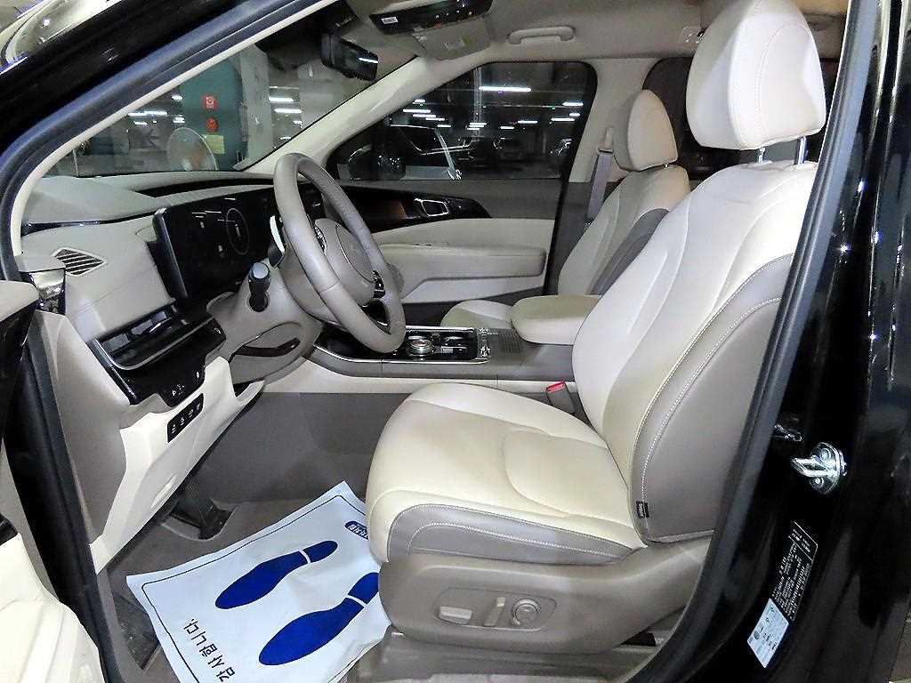 KIA Carnival - Vista 6