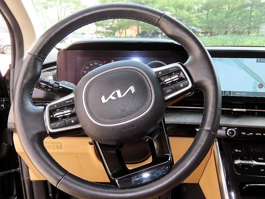 KIA Carnival - Vista 8