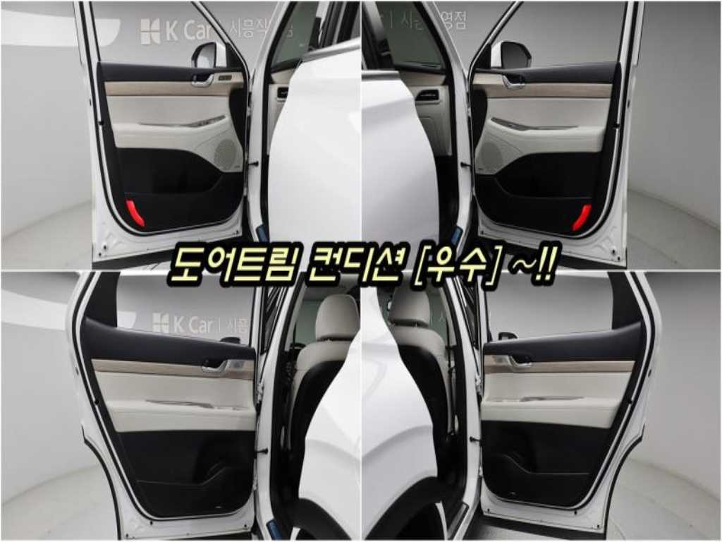 HYUNDAI Palisade - Vista 12