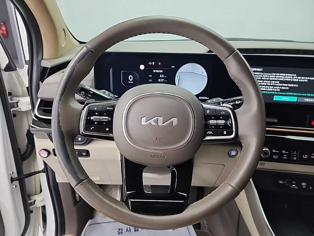 KIA Carnival - Vista 9