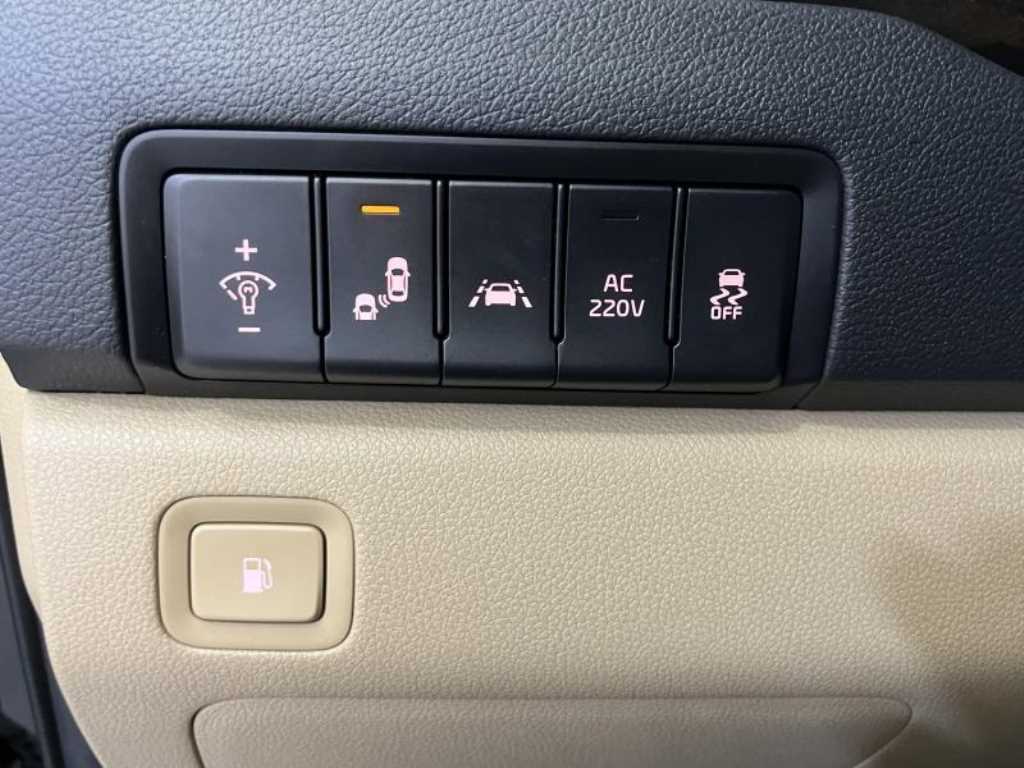 KIA Carnival - Vista 10