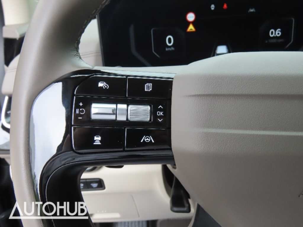 KIA Carnival - Vista 12
