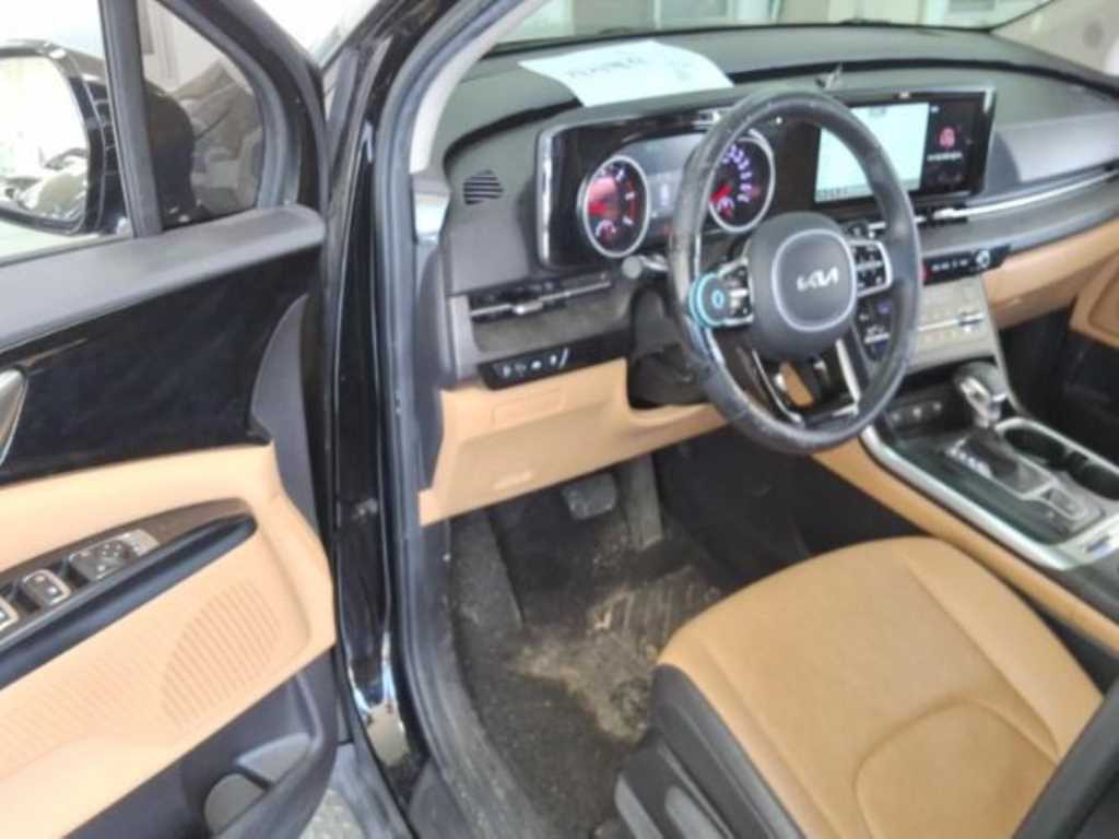 KIA Carnival - Vista 10