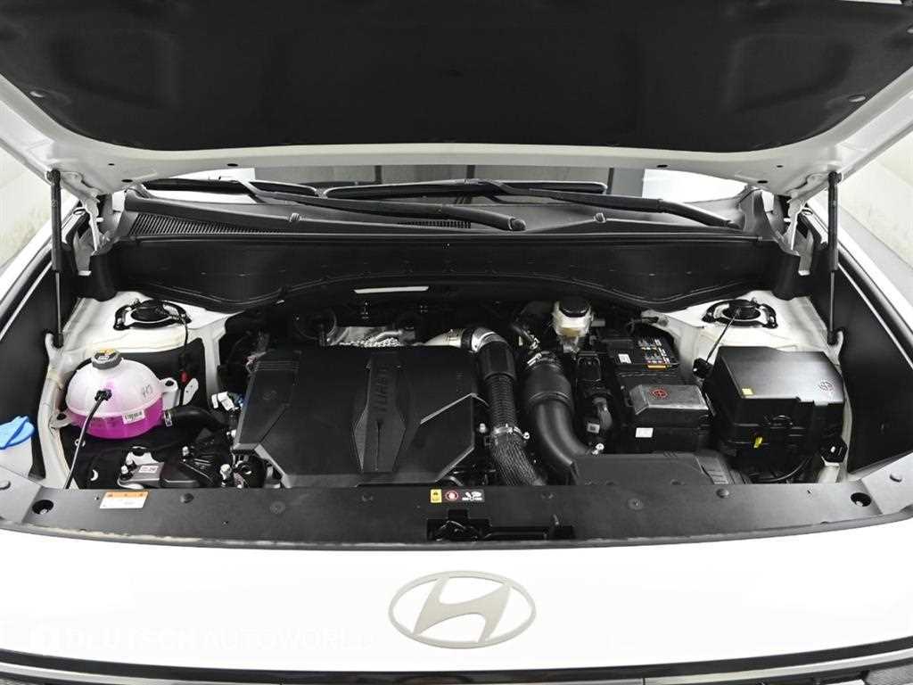 HYUNDAI Palisade - Vista 6