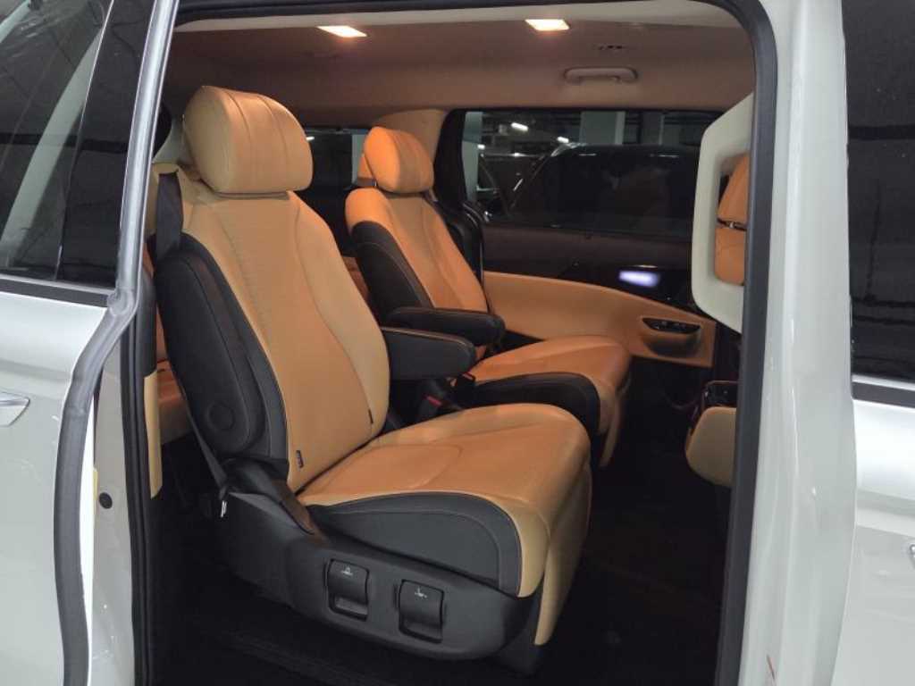 KIA Carnival - Vista 8