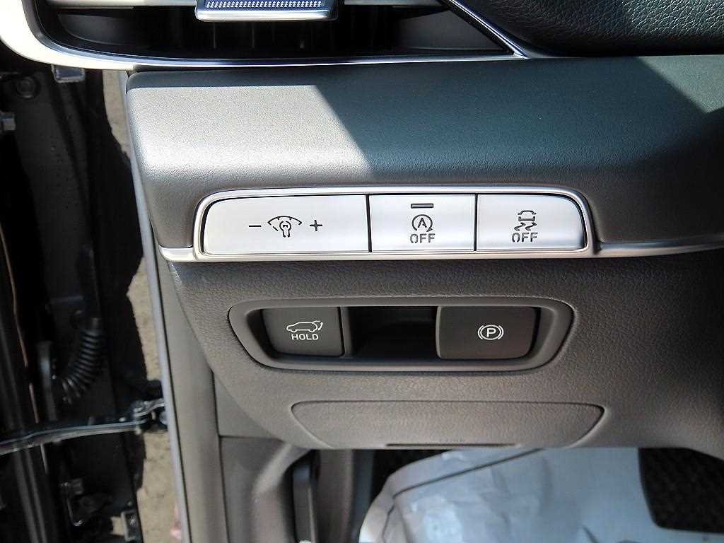 Genesis GV80 - Vista 12