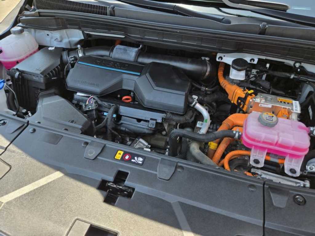 KIA Carnival - Vista 8