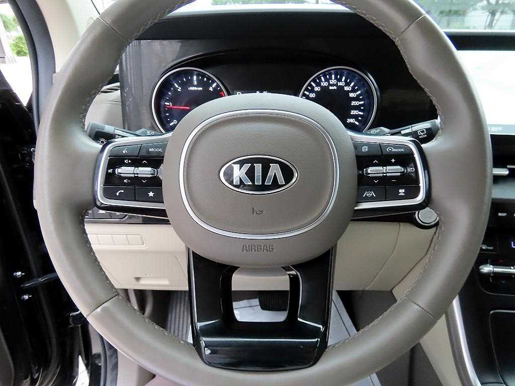 KIA Carnival - Vista 9