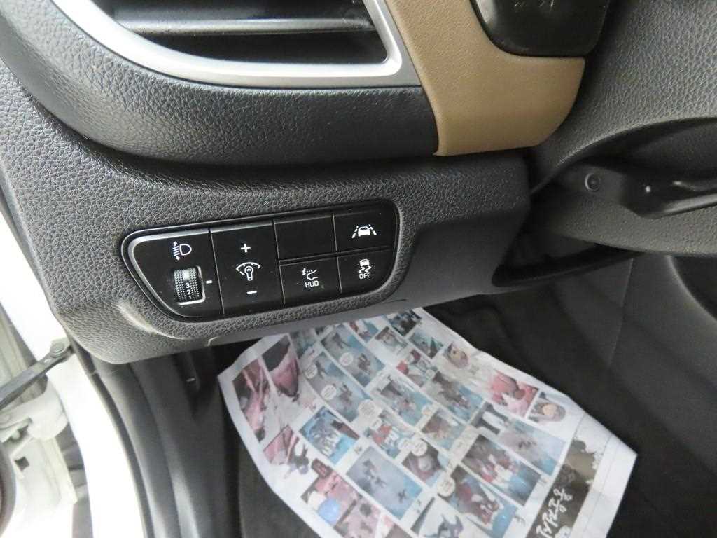 KIA Seltos - Vista 10
