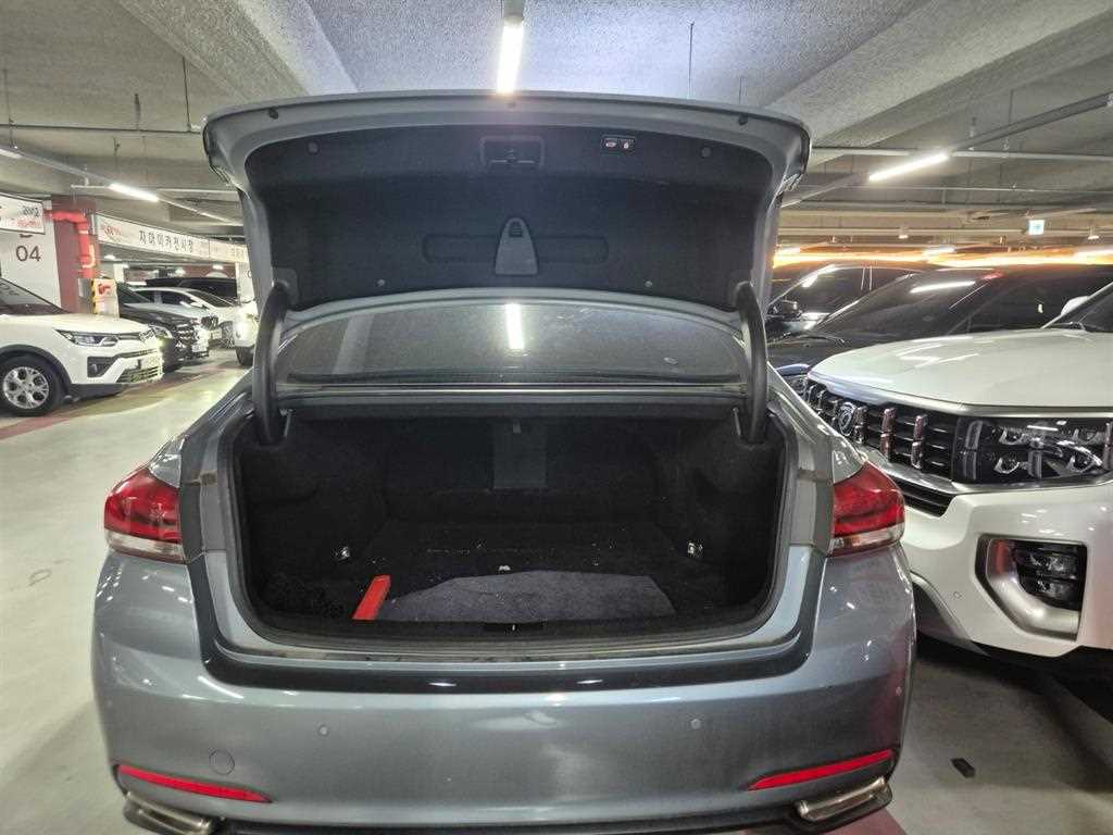 HYUNDAI Genesis - Vista 12