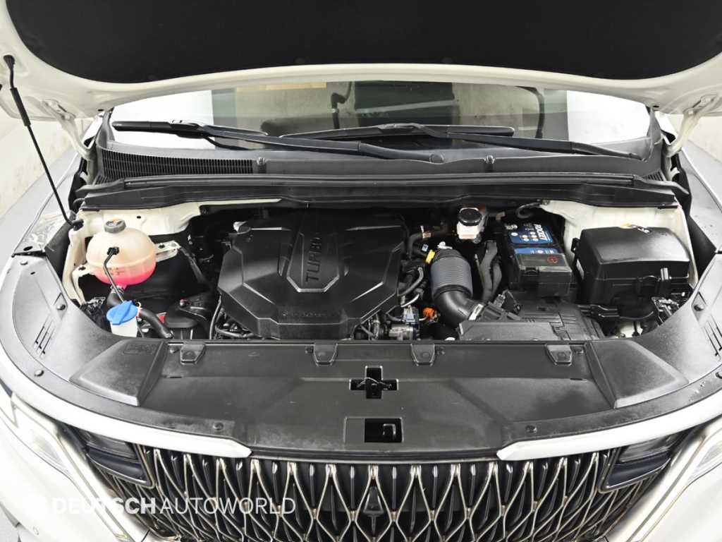 KIA Carnival - Vista 6