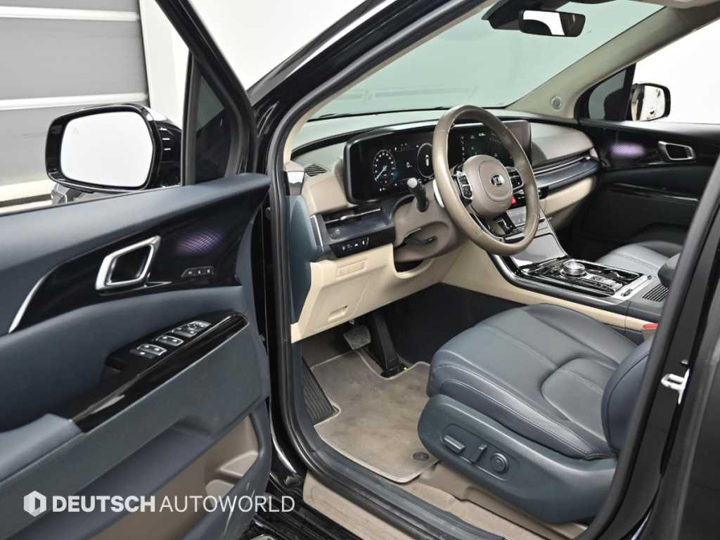 KIA Carnival - Vista 11