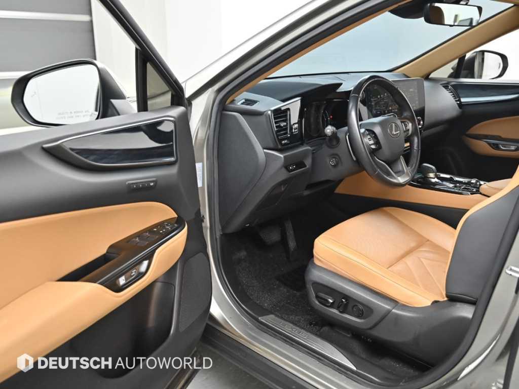 Lexus NX - Vista 11