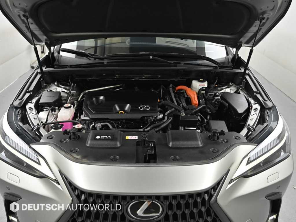 Lexus NX - Vista 6