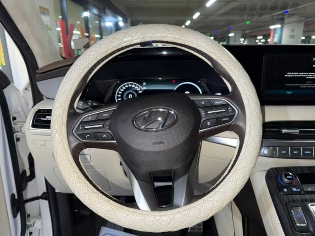 HYUNDAI Palisade - Vista 8