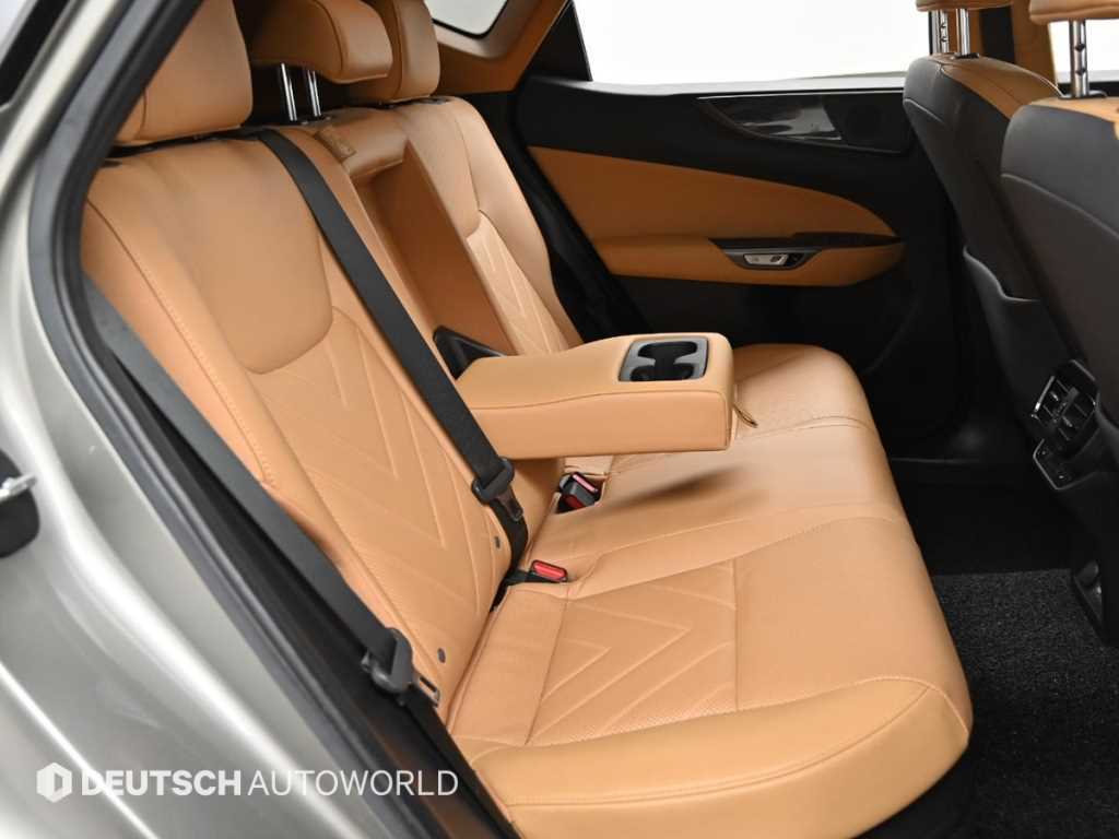 Lexus NX - Vista 12