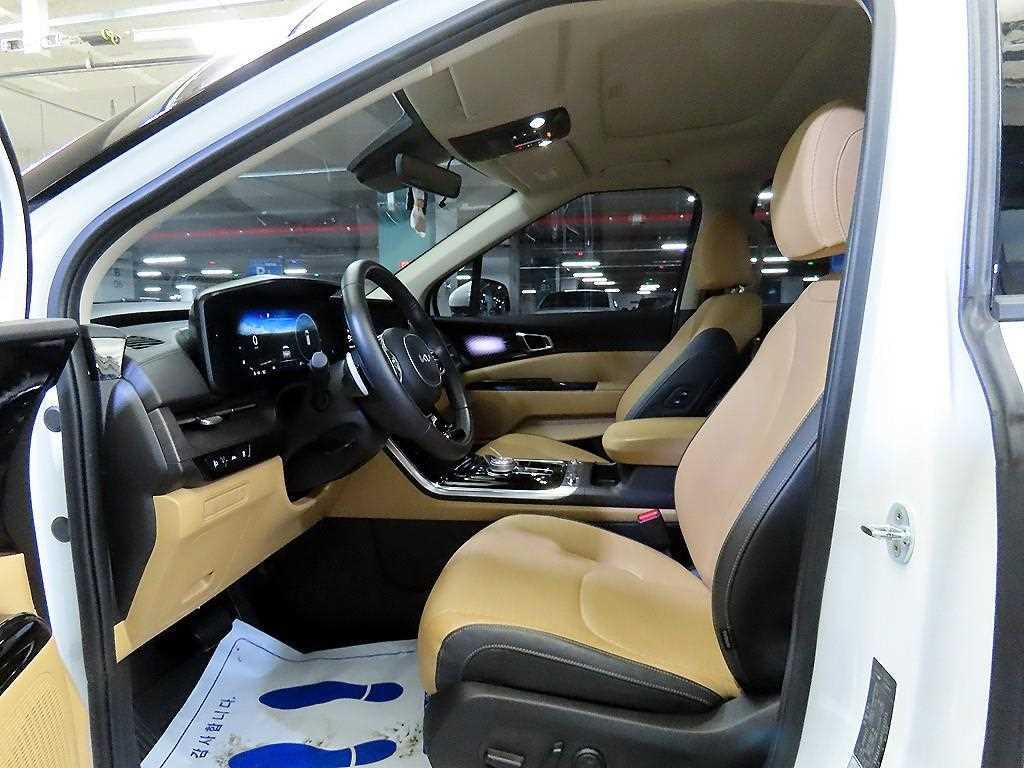 KIA Carnival - Vista 6