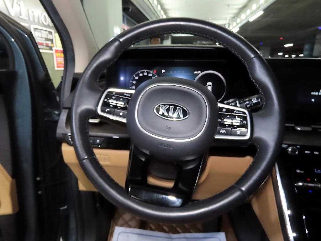 KIA Carnival - Vista 8