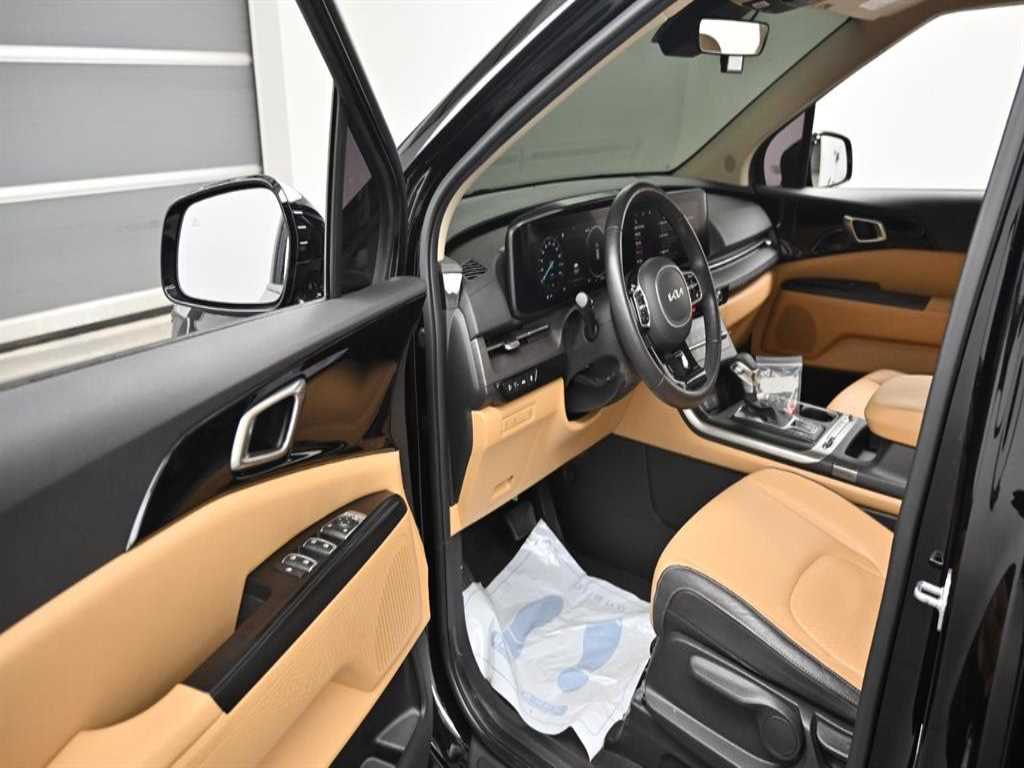 KIA Carnival - Vista 11