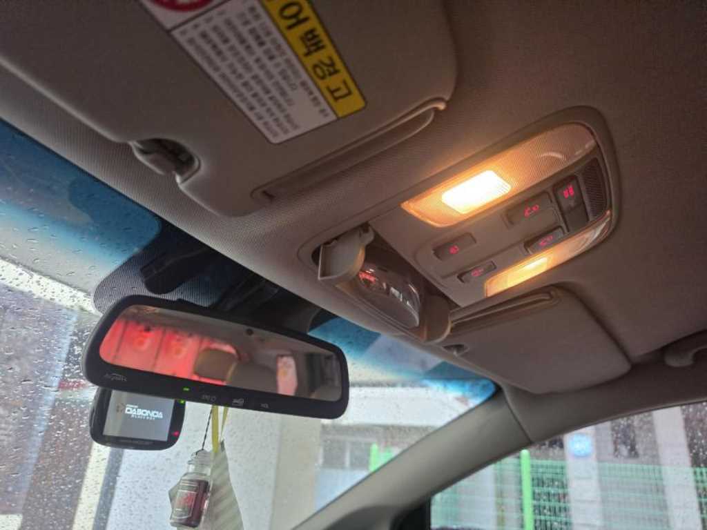 KIA Carnival - Vista 12
