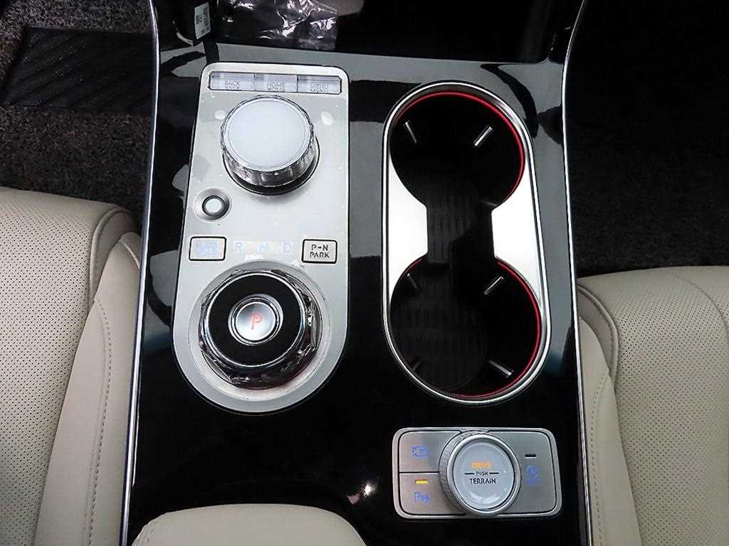 Genesis GV80 - Vista 10