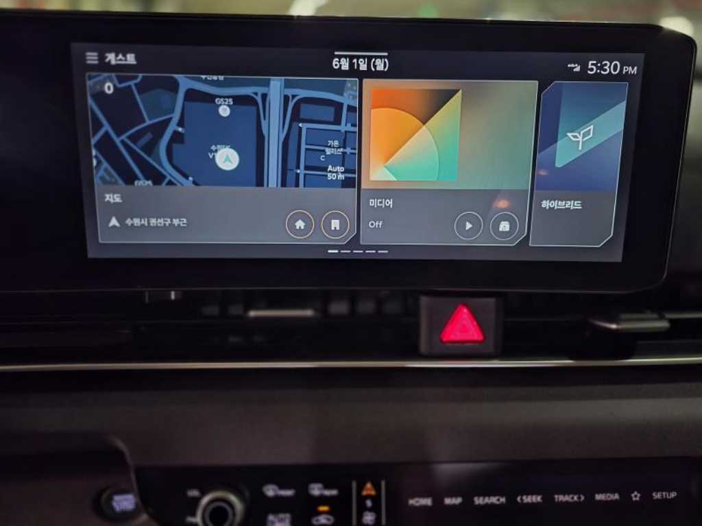 KIA Carnival - Vista 12