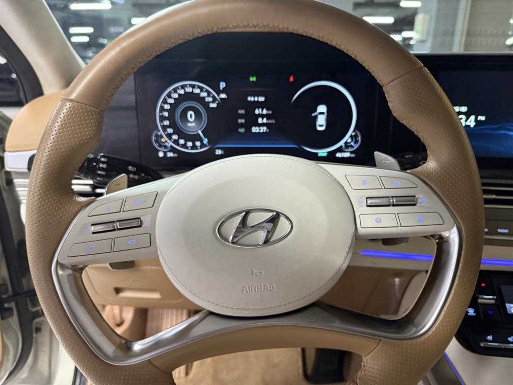 HYUNDAI Grandeur - Vista 10