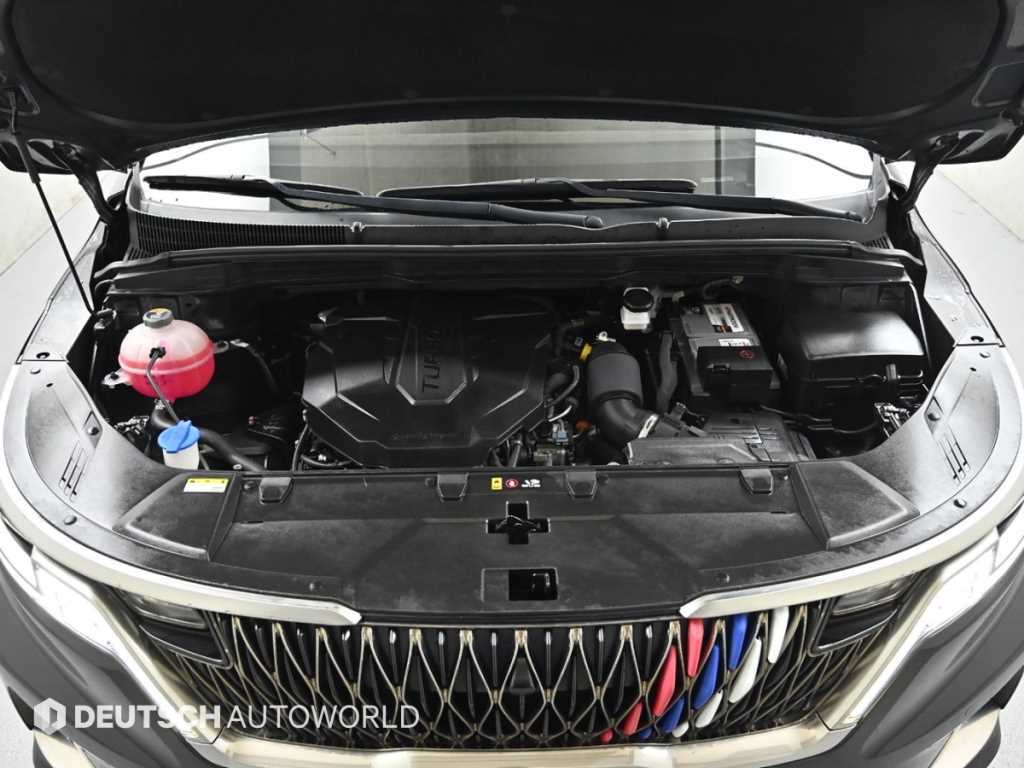 KIA Carnival - Vista 6