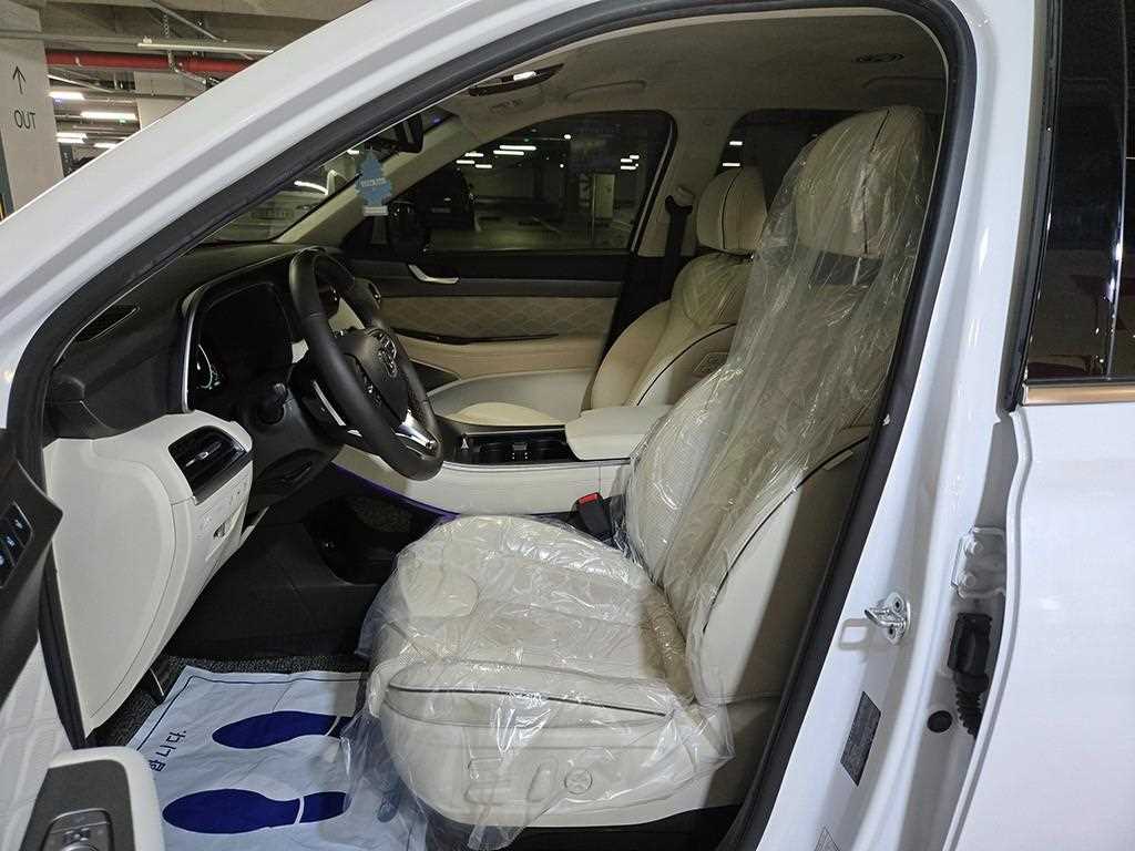 HYUNDAI Palisade - Vista 7