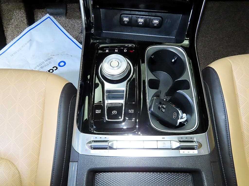 KIA Carnival - Vista 12