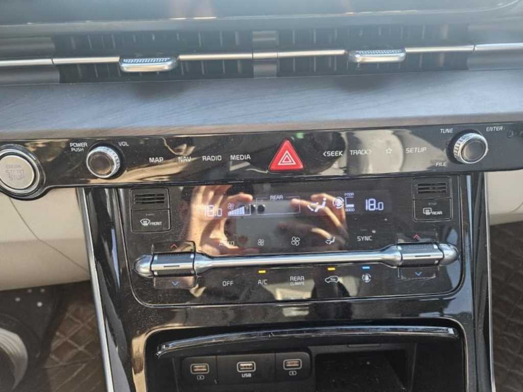 KIA Carnival - Vista 12