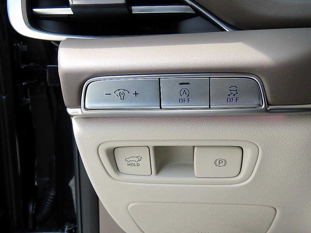 Genesis GV80 - Vista 12