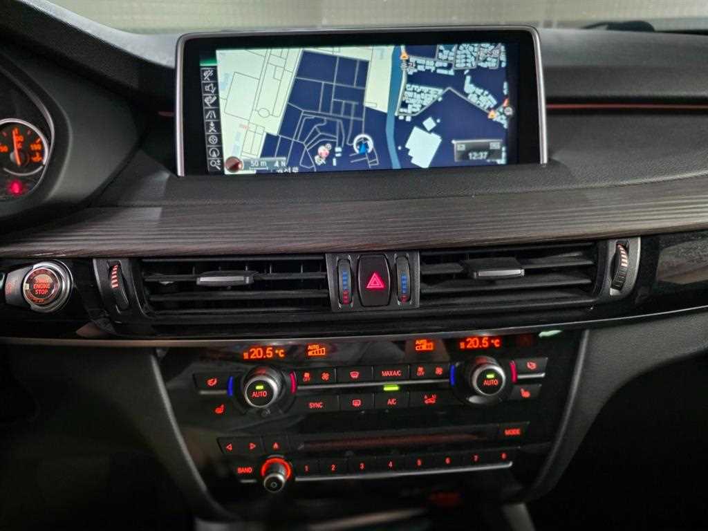 BMW X5 - Vista 8